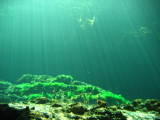 Sunlight view diving in Casa Cenote